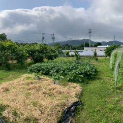 鳥栖市立石町　売地　125坪 画像5